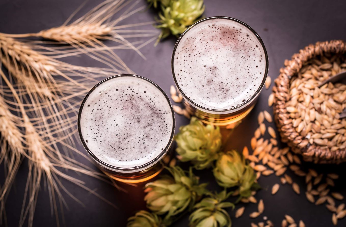 The Invisible Artisan That Shapes Flavor, Texture, and Identity Across Every Style of Beer